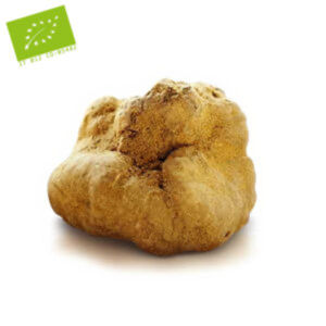 TARTUFO BIANCHETTO BIOLOGICO