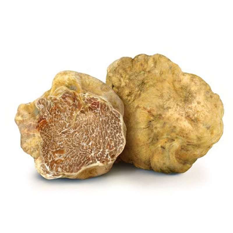TARTUFO BIANCO PREGIATO