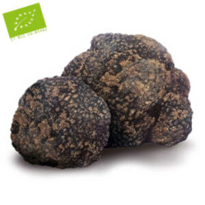 TARTUFO ESTIVO BIOLOGICO
