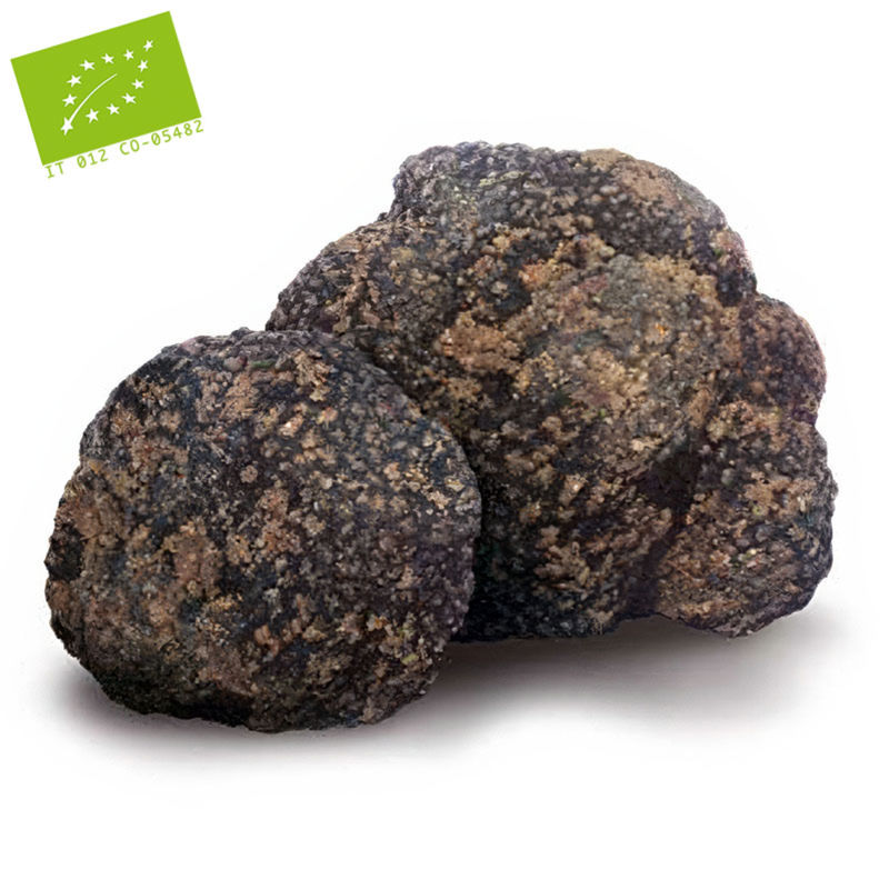 TARTUFO ESTIVO BIOLOGICO