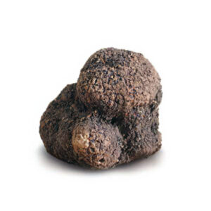 TARTUFO NERO PREGIATO